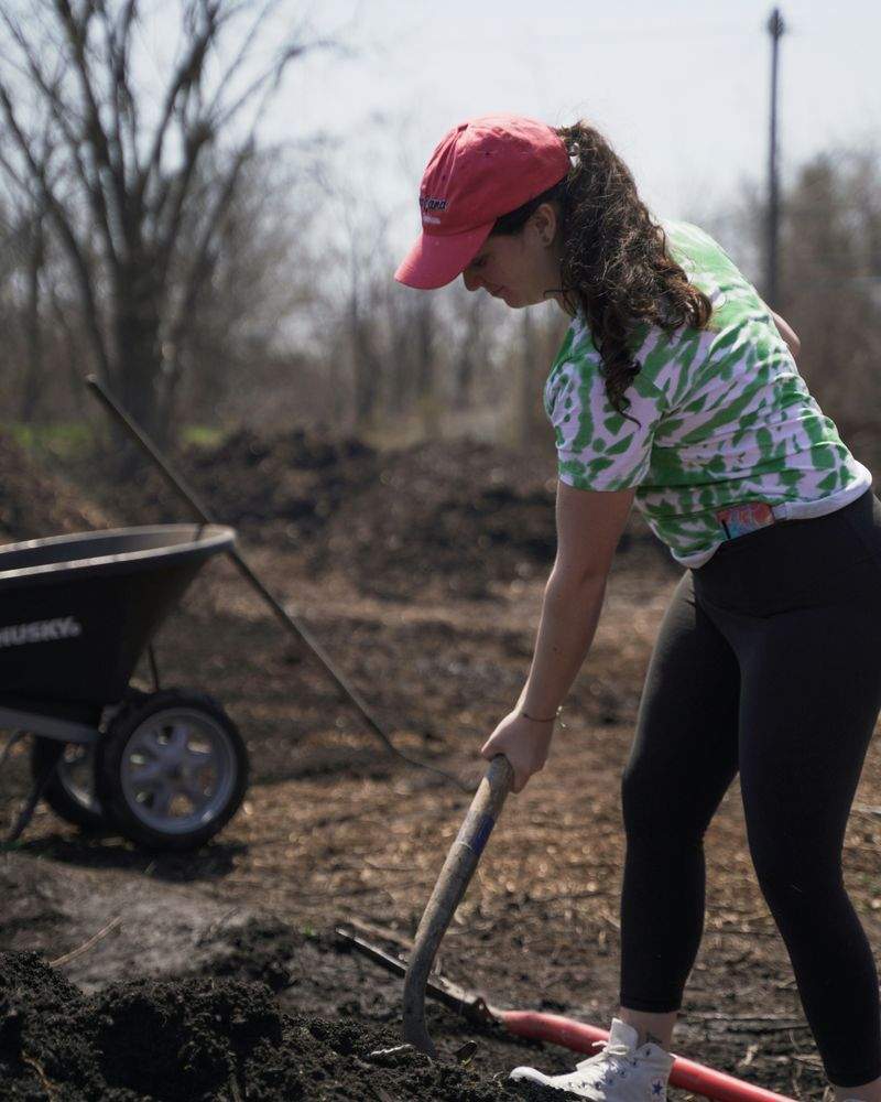 Entretenir ses haies pour un jardin soigné toute l’année